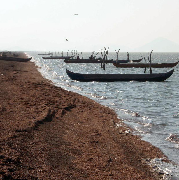 Canoes are moored at Playa de San Mateo del Mar on the Isthmus of Tehuantepec in Oaxaca, Mexico.(Courtesy L. Brehmer and E. Flores-Guevara)